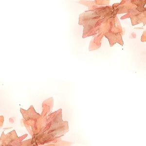 Meet your Posher, Maggie